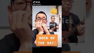 DOCK OF THE BAY(ドック オブ ベイ)♫ブルースハーモニカとピッコロギター♪【朝モニカ♫】