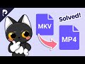 How to Convert MKV to MP4? HitPaw Video Converter Tutorial