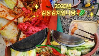 농사지은 배추로 김장하기 2부~♡ (김장김치 레시피)