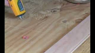 Using a moisture meter on wood floors