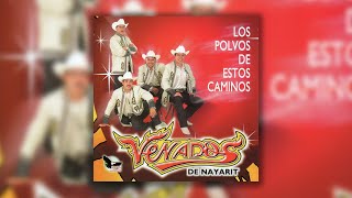 Venados de Nayarit - El Ultimo Beso