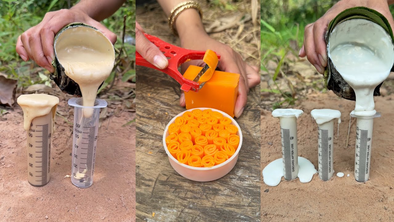 Part 71 Survival Skills Smart Idea And Useful In Forest Bushcraft