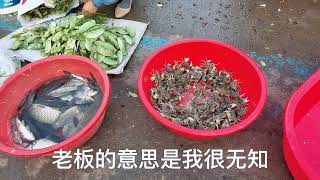 江苏连云港一个村庄早市，各类海鱼应有尽有，价格非常便宜！