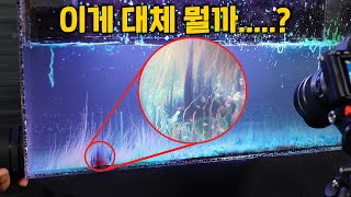 400년간 전 세계 과학자들을 미치게 만든 수조 속 기이한 화학 현상ㄷㄷ