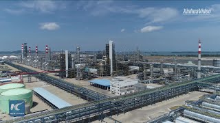 China-Brunei petrochemical joint venture fully starts operation