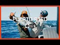 PUERTO RICO || SURFING AND FISHING FILM - Salty Crew Team Trip