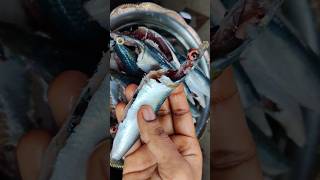 How to clean Sardine Fish #bhutai #fish