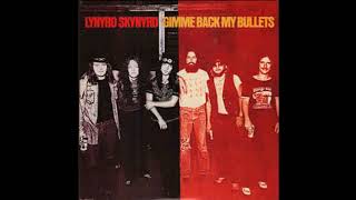 Lynyrd Skynyrd. All I can do is write about it.