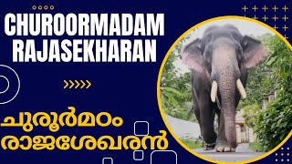 ചുരൂർമഠം രാജശേഖരൻ | Churoormadam Rajasekharan |  Kerala Elephant