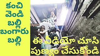 కంచి బంగారు బల్లి||Kanchi Golden Lizard||kanchi bangaru balli||kanchi bangaru balli temple||