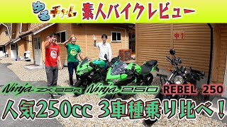 素人バイク インプレッション！人気250cc 3車種乗り比べ！Ninja ZX-25R Ninja250 REBEL250【ゆるチャレ】