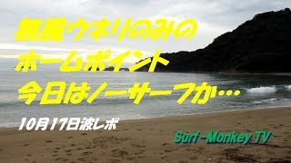 山口萩サーフィン 10月17日 無風ウネリのみのホームポイント ~サーフモンキーTV