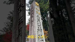 神国ニッポン！八百万の神！神々が宿る国！栃木県日光市の二荒山神社参拝！下野国一宮Futarasan Shrine in Nikko city in Japan