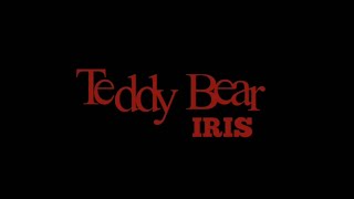 [Cover] IRIS - Teddy bear Prod. ZSunder M/V