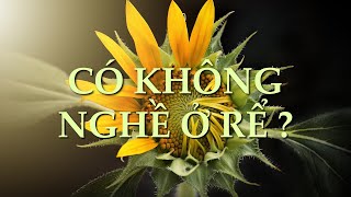 Có không nghề ở rể ? – Phiếm luận | Chuyện đời Xưa nay