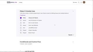 Learn Java - 3.0 Object Oriented Java | Codecademy Walkthrough