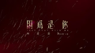 韋禮安 WeiBird《因為是你 Just Stay with Me》Teaser - 公視 / myVideo 原創影集「火神的眼淚」片頭曲