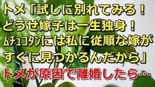 【スカッとする話】トメ「試しに別れてみろ！どうせ嫁子は一生独身！ﾑﾁｭｺﾀﾝには私に従順な嫁がすぐに見つかるんだから！」→トメが原因で離婚した結果ｗ【スカッと 修羅場 朗読 まとめ】