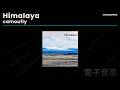 camoufly - Himalaya | Speed Garage / UK Garage 2026 [Ninja Tune]