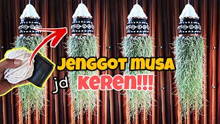 CARA MENANAM JENGGOT MUSSA UNIK DAN MUDAH