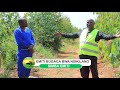 YIGA OKUSIMBA EMITI NE BANAGAFI AGRO-FORESTRY