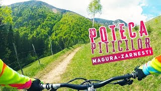 Poteca Piticilor - MAGURA