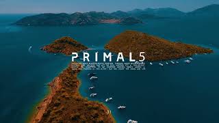 Primal5: Radio 031 (Black Coffee, Afro Melodic House ,House , DeepHouse, Blanc. \u0026 Selected.)