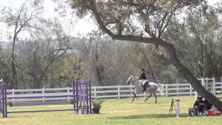 Chidlren's Jumper Classic Showpark Summer Cavalino