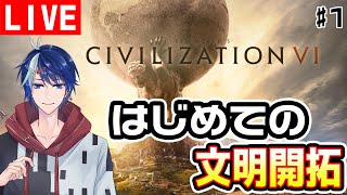 [Civilization6]初めてのマルチプレイ【シヴィライゼーション6】