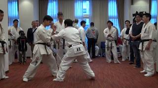 【新極真会】2018WKO昇段審査会　D1/2　SHINKYOKUSHINKAI KARATE