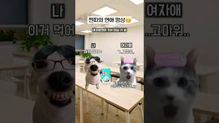 ㄹㅇ 찐따의 연애 망상 특 ㅋㅋㅋ | #고양이밈