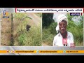 cultivation irrigation drying crops crops dried lack of irrigation water nandigama farmers concerned