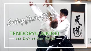 4日目／ドイツ・ショップハイム セミナー2022　4th Day of Seminar in Schopfheim TENDORYU AIKIDO