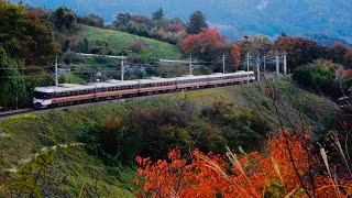 葉が色付き始めた夕方の篠ノ井線をいろんな列車が通過 / E127系、211系、383系しなの、EH200+タキ1000