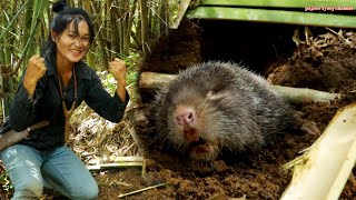 สาวดอย วางกับดักตัวอ้นถืกดีมาก Hunting cuab nas kos mag zoo