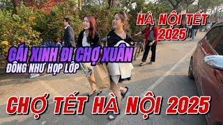 QUÁ ĐẸP, 30 CỦ CÂY NÀY CHỈ CHO THUÊ CHỨ KHÔNG BÁN - LẠC VÀO QUẤT LÂM GIỮA LÒNG HÀ NỘI TẾT