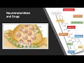 Neurotransmitters