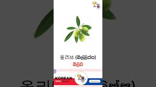 කොරියන් නාම පද | පළතුරැ 5ක් | Korean Fruits #epstopik #learnkorean #koreanlanguage