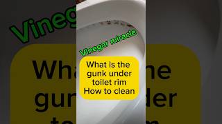 How to clean mold and mildew under toilet rim, clean toilet #cleaning #toilet #bathroom #diy #howto