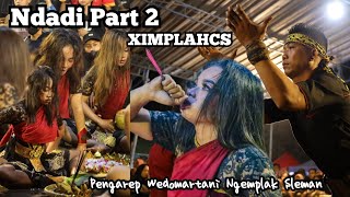 BIKIN MELONGO ‼️NDADINE XIMPLAHCS PART 2