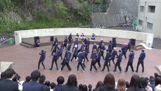 ゆうとOP【横浜市立大学 dancing crew ALMA-４月ステージ2017-】