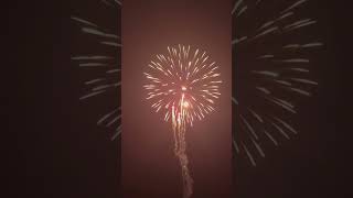 4 × 4Inch Display Shell [ Colour Peony ] #fireworks #fireworksdisplay #fireworksfestival #pyro