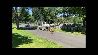 A Final Farewell White Funeral Carriage Cotton F S Newark to Evergreen Cemetery Hillside Sept 7 2021