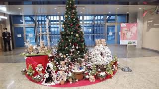 京都駅のクリスマスツリー