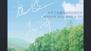 첸모즈 陈默之‘浪漫花海’ 낭만화해 Làngmàn huā hǎi한글sub.