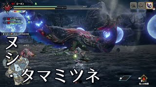 【MHRise】片手剣 \u0026 オトモx2：ヌシ・タマミツネ