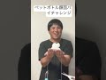 回避不能なペットボトル顔面パイチャレンジ　 shorts