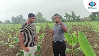 Annadata Sampurna Kit | Ostwal Group Of Industries | Banana Farming