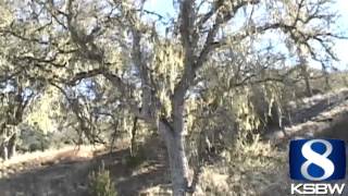 Pinnacles becomes Pinnacles National Park