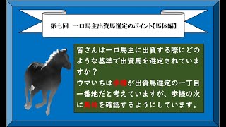 経験をフィードバック！馬選びのポイント【馬体編】